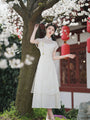 Elegant Ivory Floral Embroidered Cheongsam Two Piece Dress